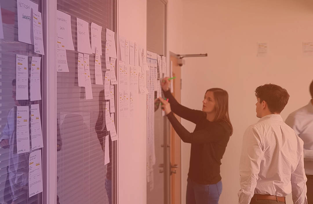 Web Development Consultant Web Development Consultant